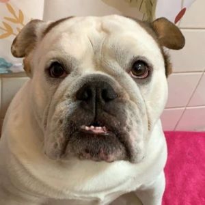 Meet your Posher, Chelsey